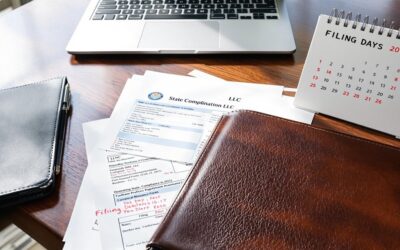 What Are LLC Annual Report Requirements?